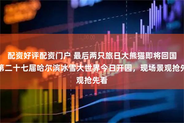 配资好评配资门户 最后两只旅日大熊猫即将回国；第二十七届哈尔滨冰雪大世界今日开园，现场景观抢先看