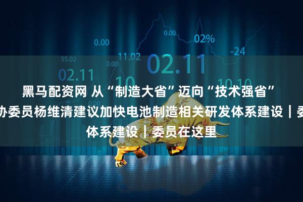 黑马配资网 从“制造大省”迈向“技术强省” 四川省政协委员杨维清建议加快电池制造相关研发体系建设｜委员在这里
