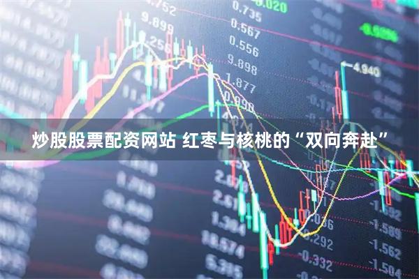 炒股股票配资网站 红枣与核桃的“双向奔赴”